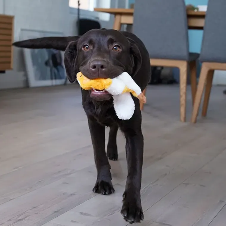 Plyslegetøj Til Hunde|Hvalpelegetøj^Party Pets Slaskede Pelsdyr | 55cm