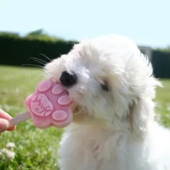☀️Sommerklar|Hundefødselsdag^Smoofl Hundeis Poteform