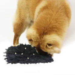 Aktivitetslegetøj Til Hunde|Ollipet Hundelegetøj^Ollipet Snufflemat Black | Snusemåtte