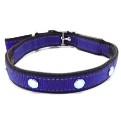 Hundehalsbånd|Løbeturen^Cotonshoppen SOLID LED-halsbånd OUTLET