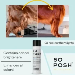 Hundeshampoo Og Hundebalsam^So Posh Professional I'm So Fantastic Shampoo