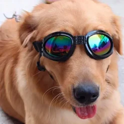 ☀️Sommerklar|Hundeferien^Ollipet SportyDog hundesolbriller