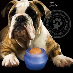 Aktivitetslegetøj Til Hunde|Hvalpelegetøj^Starmark Everlasting Treat Ball Sassy