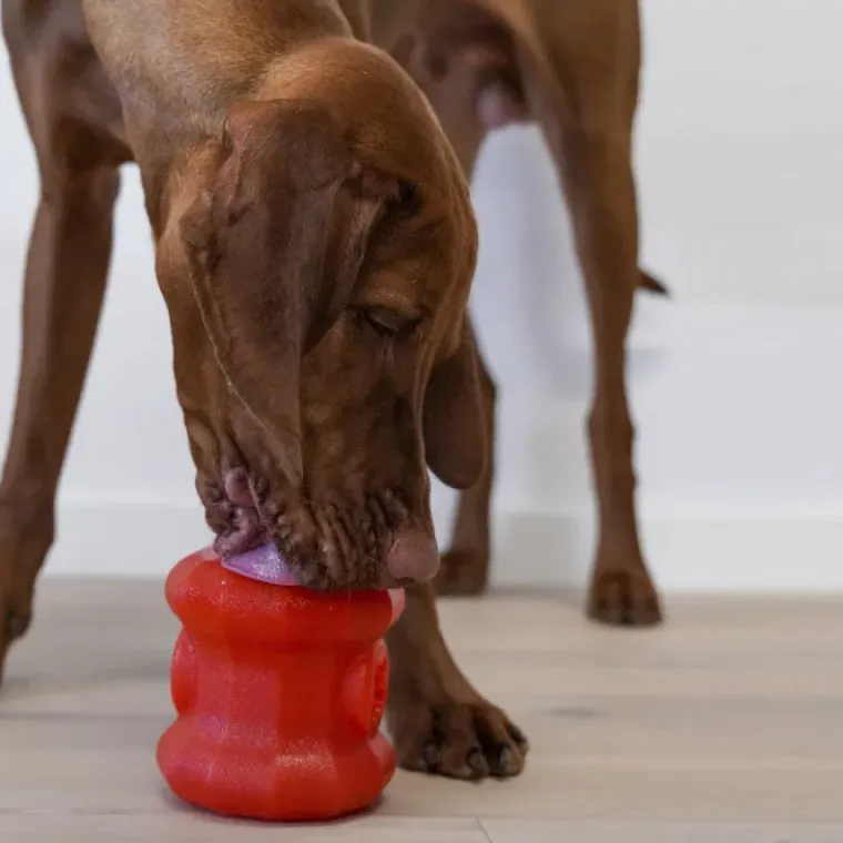 Aktivitetslegetøj Til Hunde|Slidstærkt Legetøj^Starmark Everlasting Treat Fireplug