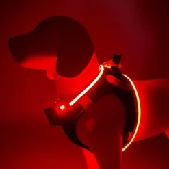 Hundeseler|Led Lys Og Refleks^Cotonshoppen Step-in hundesele med LED-lys
