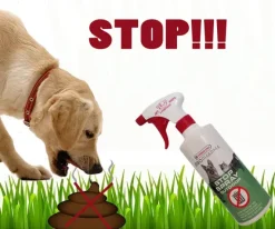 Renlighedstræning Af Hvalpe|Uønsket Adfærd^Versele-Laga STOP Spray outdoor