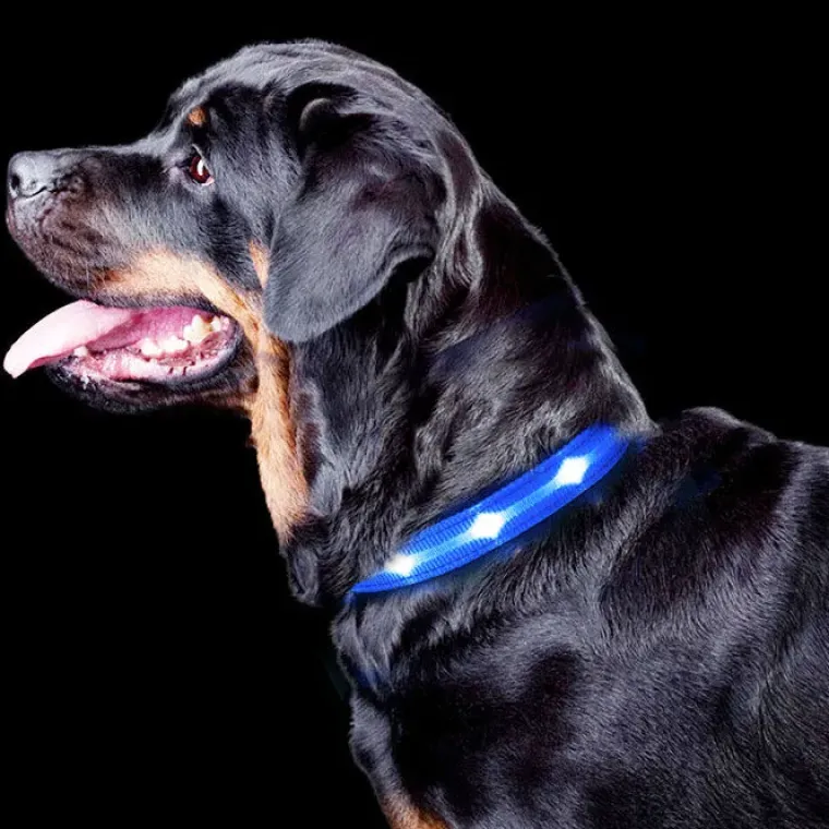 Hundehalsbånd|Løbeturen^Cotonshoppen The Dots LED Collar | Halsbånd med LED lys
