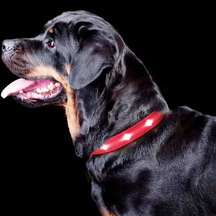 Hundehalsbånd|Løbeturen^Cotonshoppen The Dots LED Collar | Halsbånd med LED lys