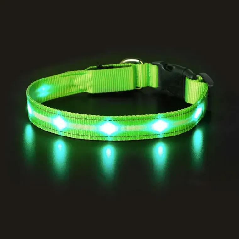 Hundehalsbånd|Løbeturen^Cotonshoppen The Dots LED Collar | Halsbånd med LED lys