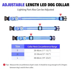 Hundehalsbånd|Løbeturen^Cotonshoppen The Dots LED Collar | Halsbånd med LED lys