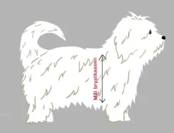 Hundeseler|Halsbånd, Liner Og Seler^Tre Ponti | Classic Sele