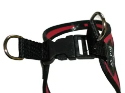 Hundeseler|Halsbånd, Liner Og Seler^Tre Ponti | Classic Sele