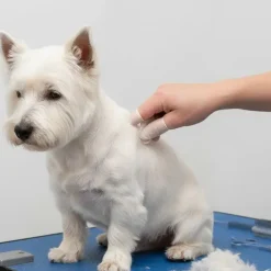 Pelsplejeredskaber^KW Trimme Fingerkondomer 100 stk