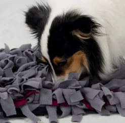 Aktivitetslegetøj Til Hunde|Legetøj Til Katte^Trixie Activity Snusetæppe
