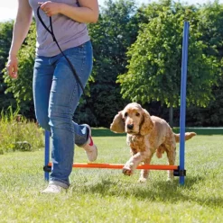 Hundetræning Og Klikker|Trixie Hundelegetøj^Trixie Agility Hurdle | Agility forhindring