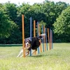 Hundetræning Og Klikker^Trixie Agility Slalompinde