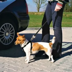 Hundeseler|Biltransport Af Hund^Trixie Bilsele | Sikkerhedssele i ét