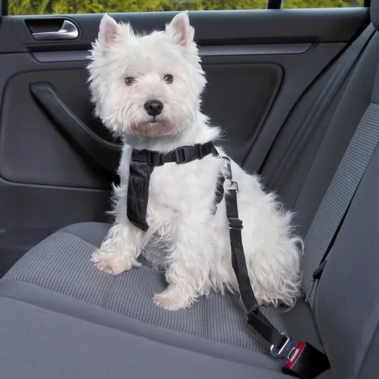 Hundeseler|Biltransport Af Hund^Trixie Bilsele | Sikkerhedssele i ét