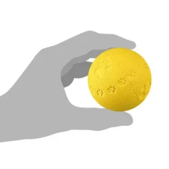 Bolde|Naturligt Hundelegetøj^Trixie Bold i naturgummi | 1 stk.