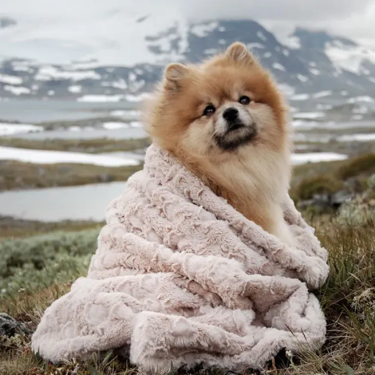 Hundesenge^Trixie Cosy hundetæppe