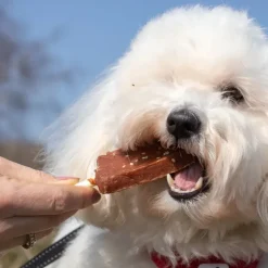 ☀️Sommerklar|Hundeferien^Trixie Dentafun hundeis | Chicken Pops