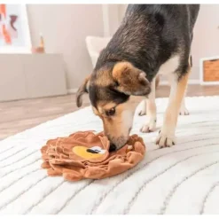 Aktivitetslegetøj Til Hunde|Snusemåtter/Slikkeplader^Trixie Godbidsgemmer Løve | recycled