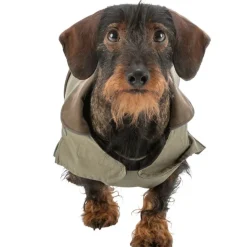Hundetøj^Trixie Hermy hundejakke (Gravhund)