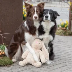 Hvalpelegetøj|Plyslegetøj Til Hunde^Trixie Kaninen Bunny