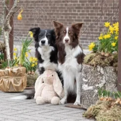 Hvalpelegetøj|Plyslegetøj Til Hunde^Trixie Kaninen Bunny