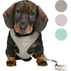 Hundeseler|Hvalpesele Og Hvalpeliner^Trixie Puppy Dog hvalpesele og line