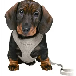 Hundeseler|Hvalpesele Og Hvalpeliner^Trixie Puppy Dog hvalpesele og line