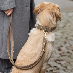 Hundehalsbånd^Trixie Pure hundehalsbånd | Ekstra bred