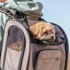 Hundetaske|Transporttasker Til Hunde^Trixie Shiva rygsæk til hunde | Khaki