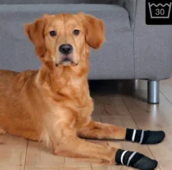 Efterårsklar|Hundesko^Trixie Skridsikre hundestrømper | OUTLET