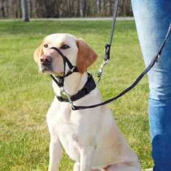 Hundeseler|Hundetræning Og Klikker^Trixie Top Trainer Snudesele