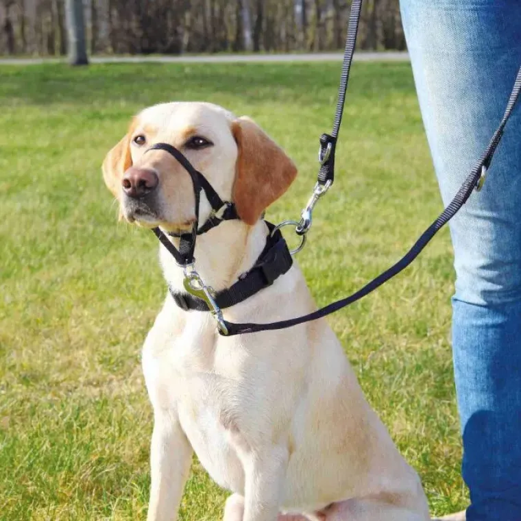 Hundeseler|Hundetræning Og Klikker^Trixie Top Trainer Snudesele