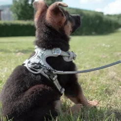 Hundeseler|Hvalpesele Og Hvalpeliner^TrueLove Explosion Proof | LUKSUS Hundesele