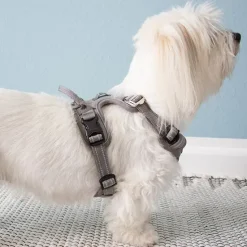 Hundeseler|Hvalpesele Og Hvalpeliner^TrueLove Explosion Proof | LUKSUS Hundesele