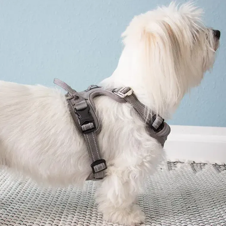 Hundeseler|Hvalpesele Og Hvalpeliner^TrueLove Explosion Proof | LUKSUS Hundesele