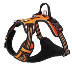 Hundeseler|Hvalpesele Og Hvalpeliner^TrueLove Explosion Proof | LUKSUS Hundesele