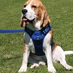 Hundeseler|Hvalpesele Og Hvalpeliner^TrueLove Explosion Proof | LUKSUS Hundesele