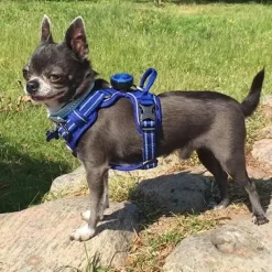 Hundeseler|Hvalpesele Og Hvalpeliner^TrueLove Explosion Proof | LUKSUS Hundesele