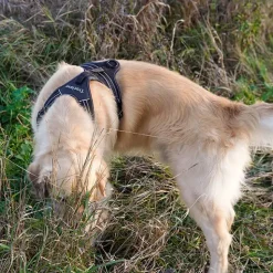 Hundeseler^TrueLove Outdoor Hundesele | OUTLET