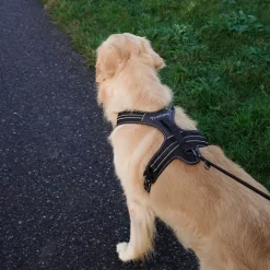 Hundeseler^TrueLove Outdoor Hundesele | OUTLET