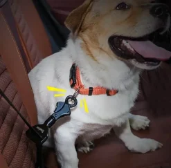 Hundeseler|Biltransport Af Hund^TrueLove Sikkerhedssele kobling