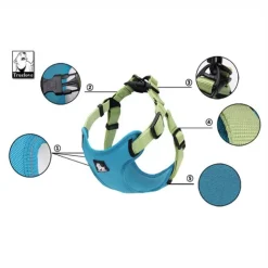 Hundeseler^TrueLove Step in sele | OUTLET