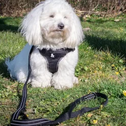 Hundeseler^TrueLove Step in sele | OUTLET