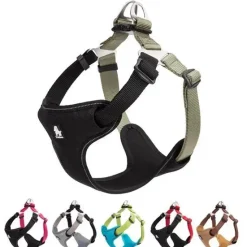 Hundeseler^TrueLove Step in sele | OUTLET