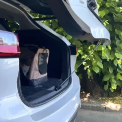 ☀️Sommerklar|Biltransport Af Hund^Active Canis Ventilation Hook 3 Stk