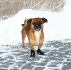 ❄️Klar Til Vintervejret|Efterårsklar^Trixie Walker Active Protective boots | hundestøvler 2 stk.